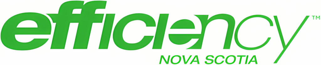 NS Efficiency Logo