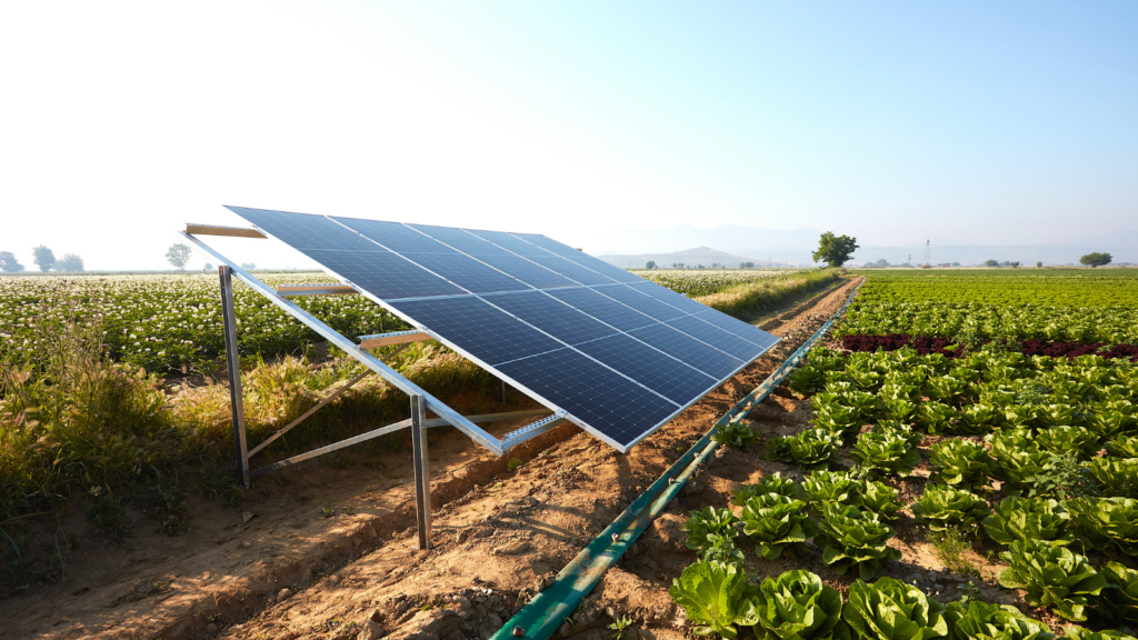 solar for farms
